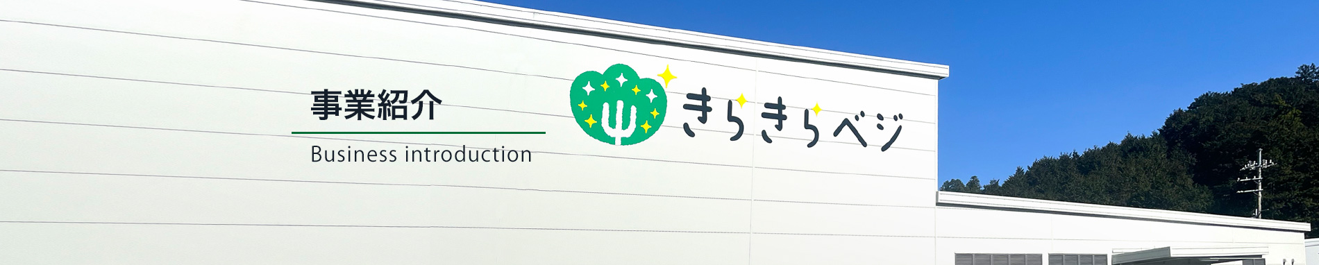 事業紹介
